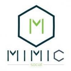 Mimic Social Simulation (online access) 