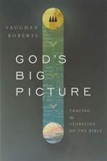 God's Big Picture : Tracing the Storyline of the Bible 