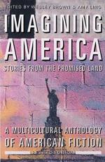 Imagining America Revised Edition : Stories from the Promised Land 2nd