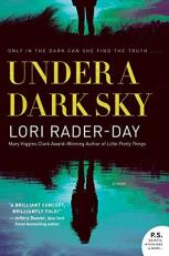 Under a Dark Sky : A Novel 