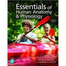 Essentials of Human Anatomy & Physiology 13th