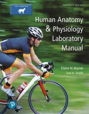 Pearson eText for Human Anatomy & Physiology Laboratory Manual, Cat Version -- Instant Access (Pearson+) 13th