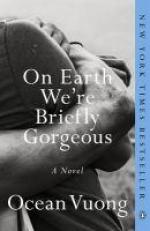 On Earth We're Briefly Gorgeous : A Novel 