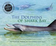 The Dolphins of Shark Bay 