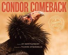 Condor Comeback 