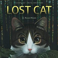 Lost Cat 