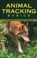 Animal Tracking Basics 