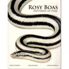 Rosy Boas, Patterns in Time 