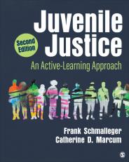 Juvenile Justice : An Active-Learning Approach 2nd