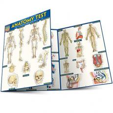 Anatomy Test Reference Guide (8. 5 X 11) : For Use with Anatomy Reference Guide (9781423222781)