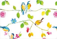 Watercolor Birds Note Cards (Stationery) 