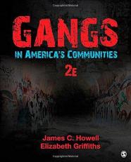 Gangs in America′s Communities 2nd