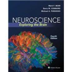 Neuroscience 4th