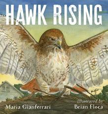 Hawk Rising 