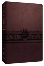 MEV Bible Personal Size Large Print Cherry Brown : Modern English Version 