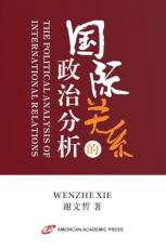 å½éå³ç³»çæ¿æ²»åæ (Chinese Edition) 